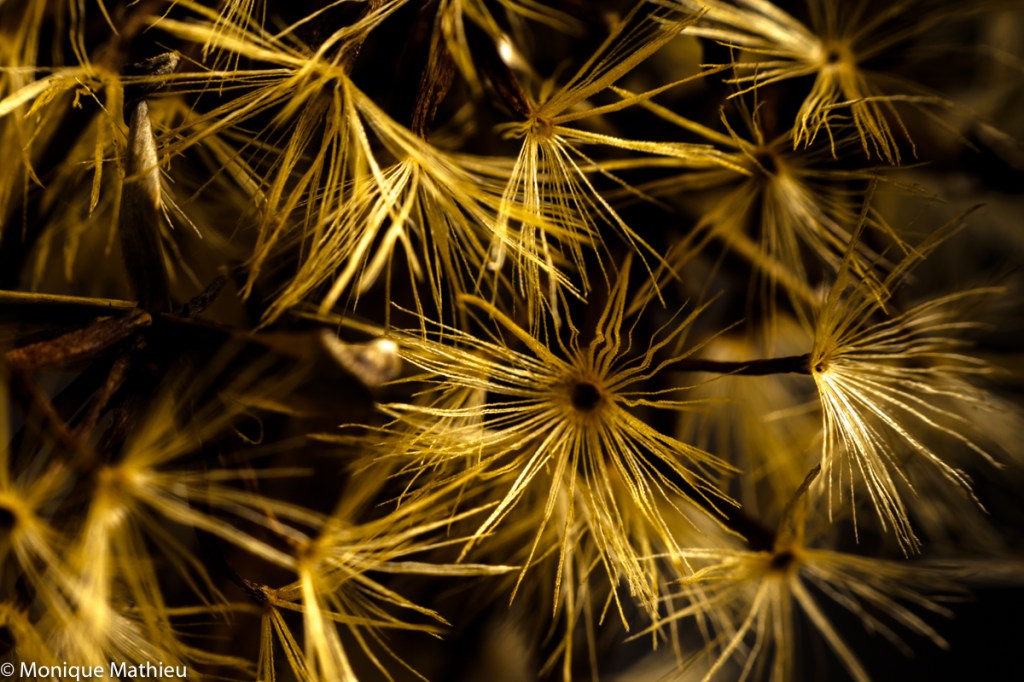 Kleines ganz gross&nbsp;rausgebracht