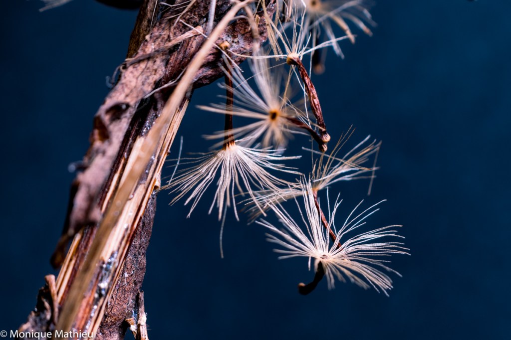 unbenannt (1 von 1)-8