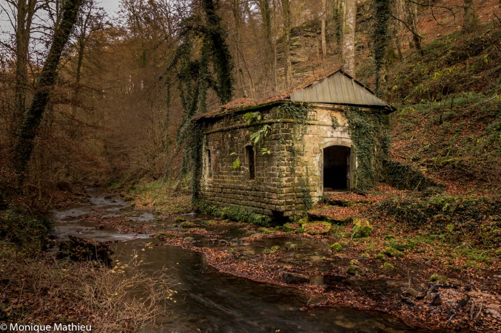 unbenannt (10 von 10)-2