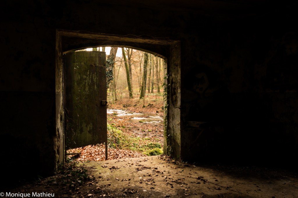 Vom Dunkel ins Licht