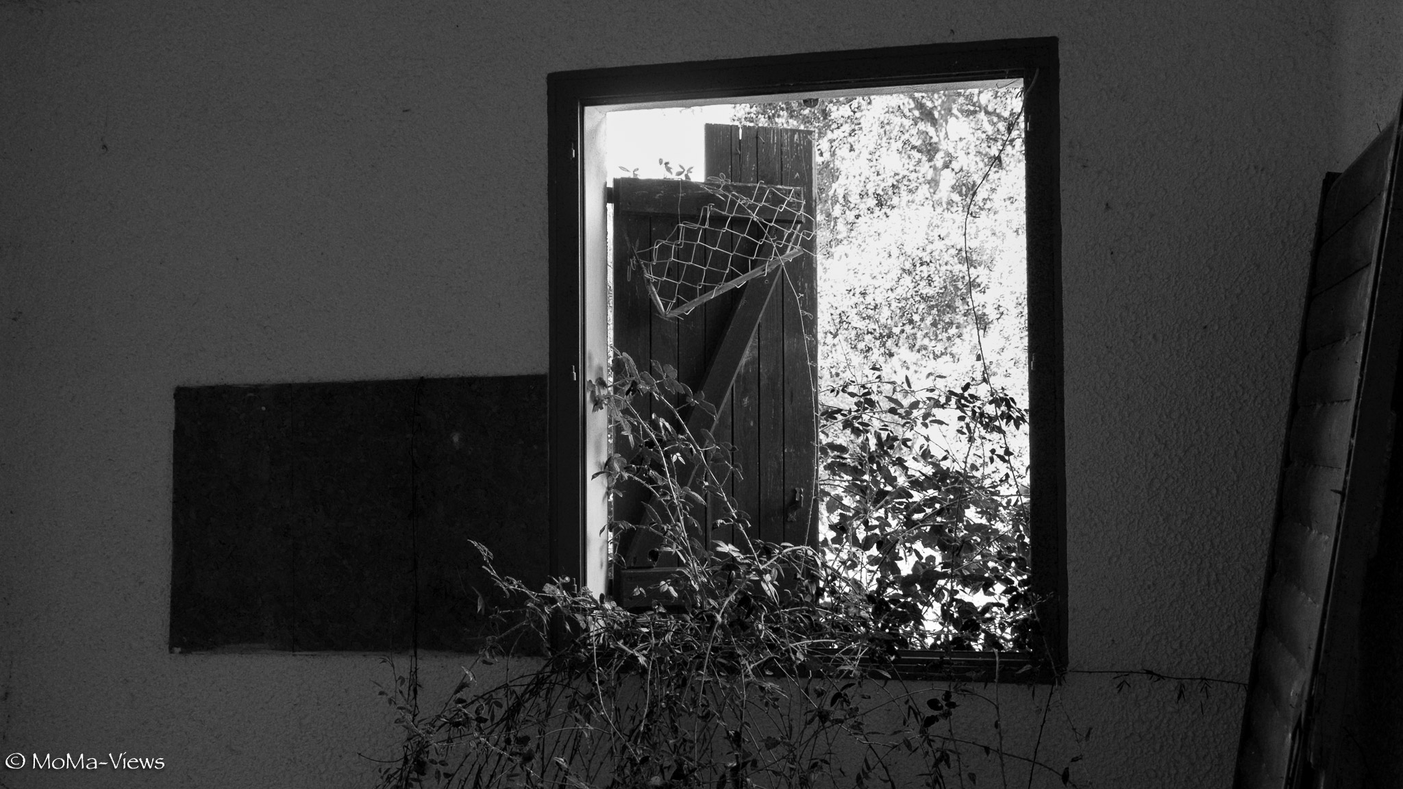 20160918-20160918-dsc_1191korsika-san-nicolaounbenannte-fotosession