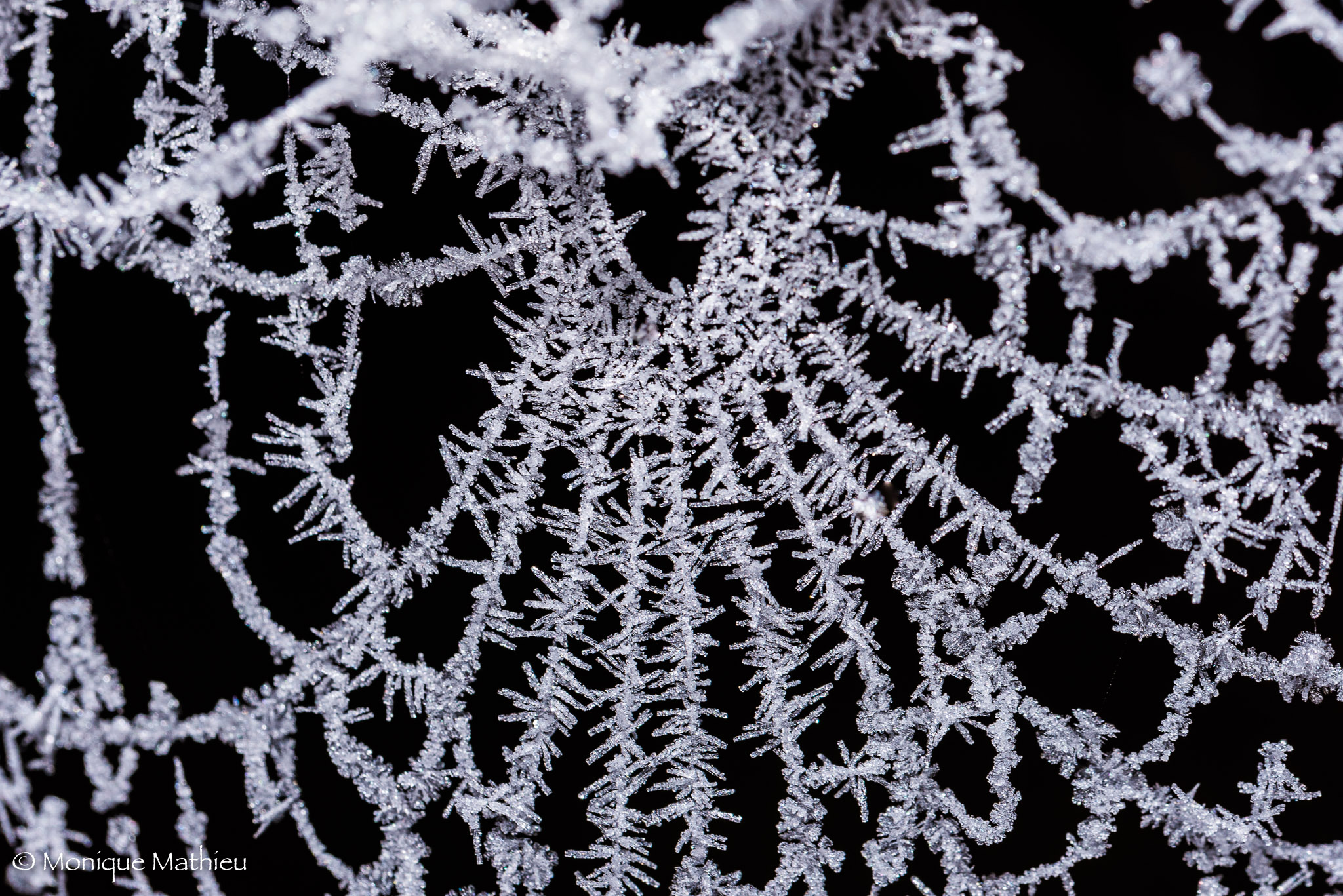 20161231-dsc_6345unbenannt