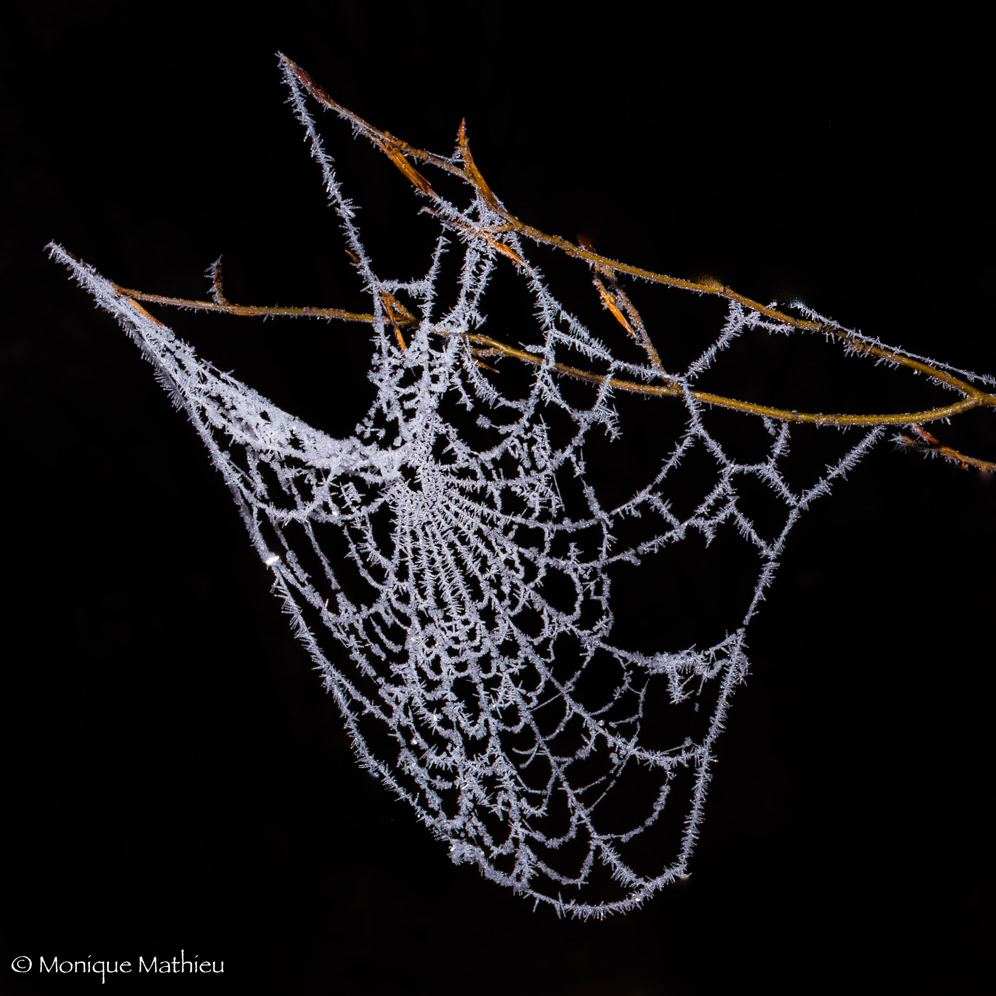 20161231-dsc_6352unbenannt