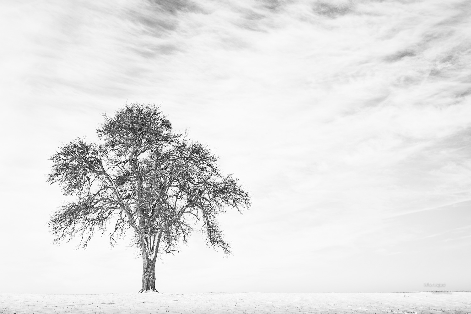 20180207-DSCF892818-Bearbeitet