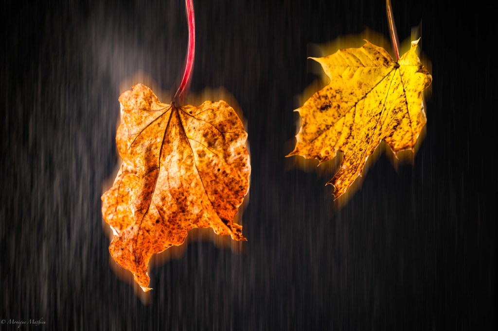 Buntes in dieser ach so tristen&nbsp;Zeit.