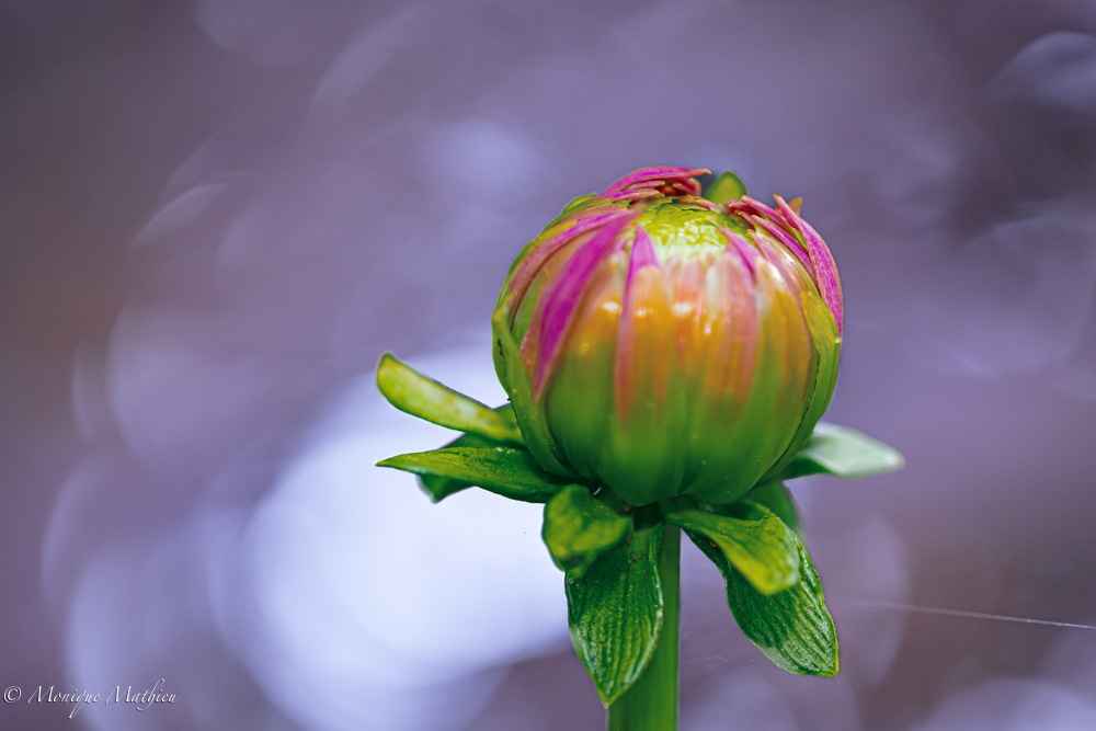 Das Grosse im Kleinen&nbsp;sehen