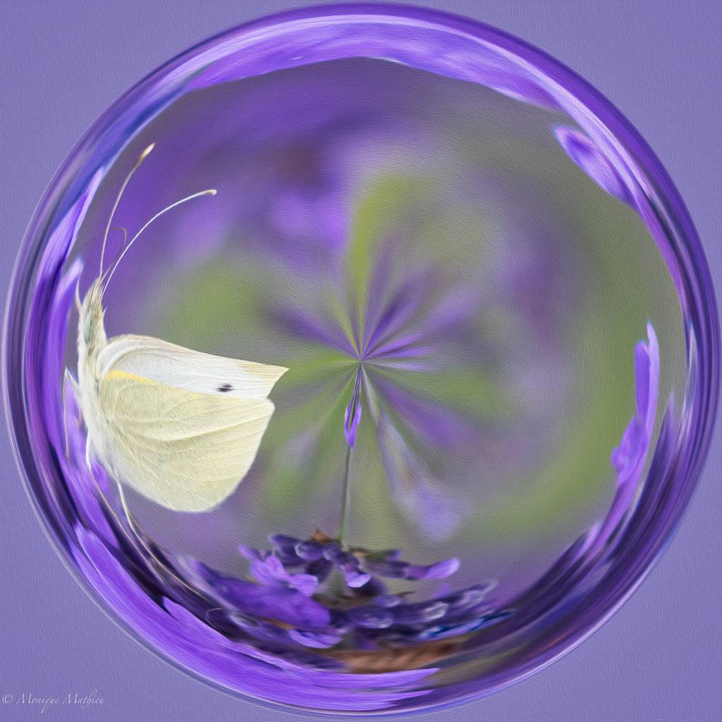 Spass an der&nbsp;Sache